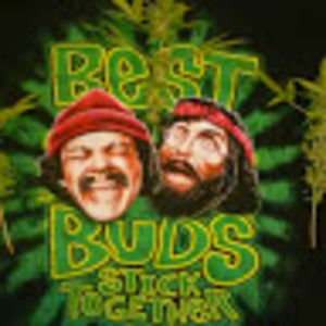 Meet your Posher, Ernie